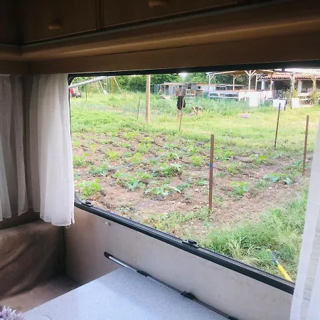 La Ferme De Rotani Hotel Aléria Buitenkant foto