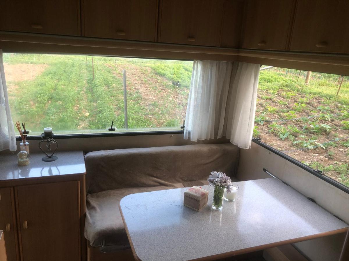 La Ferme De Rotani Camping Aléria